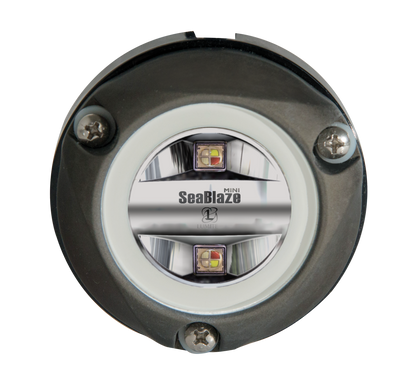 Lumitec Zambezi Mini Spectrum RGBW color changing underwater light
