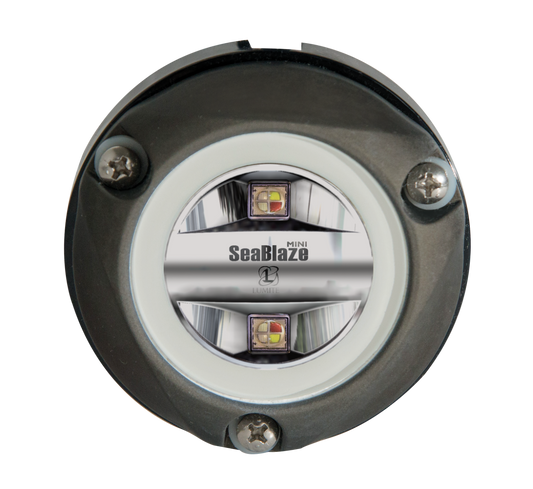Lumitec Zambezi Mini Spectrum RGBW color changing underwater light